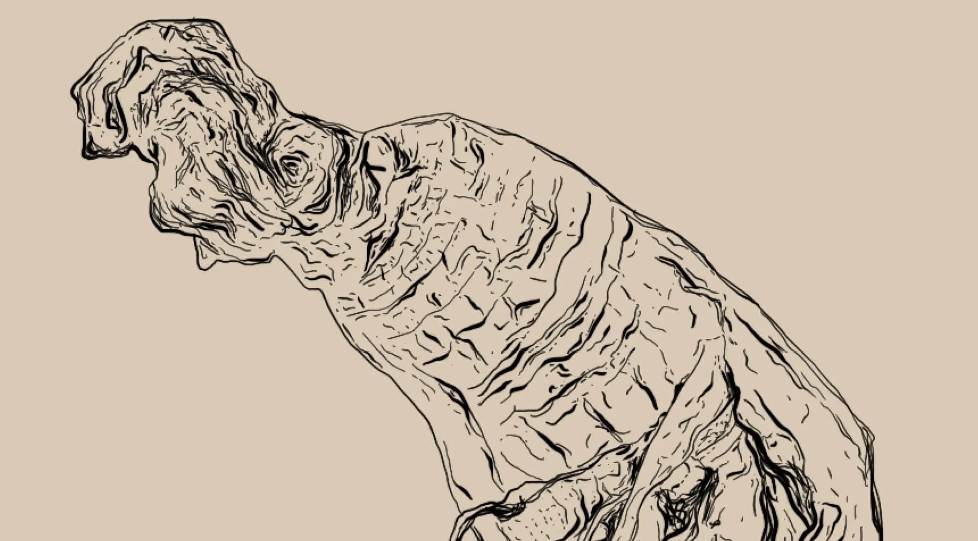 Eleutherococcus senticosus