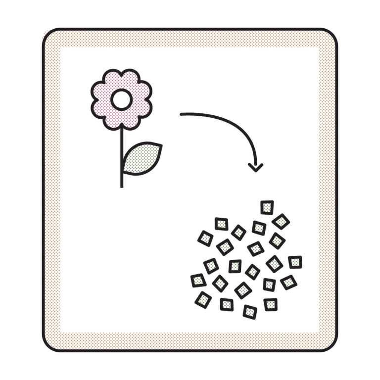 Process_Illustrations-01-1-768x768