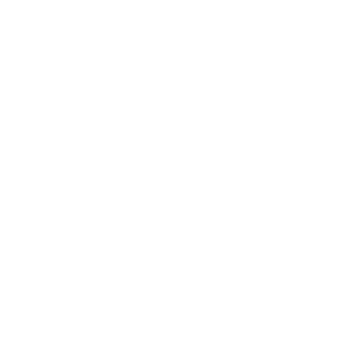 Wanderlust True North logo