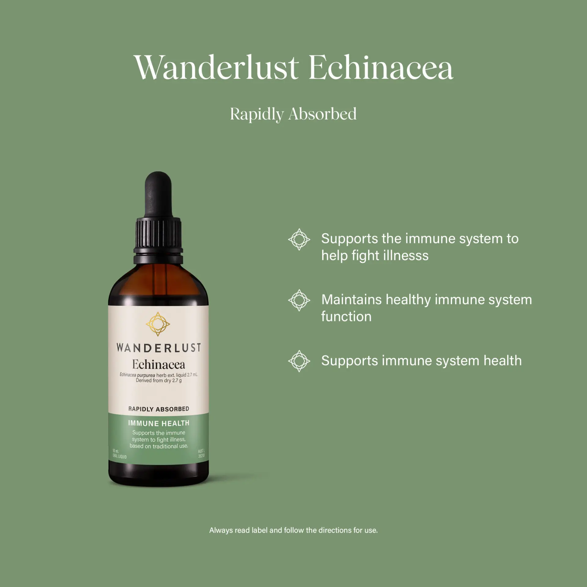 Wanderlust Echinacea - Image 3