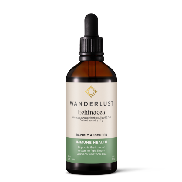 Wanderlust Echinacea