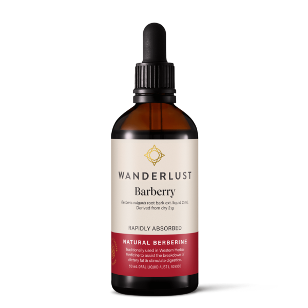 Wanderlust Barberry