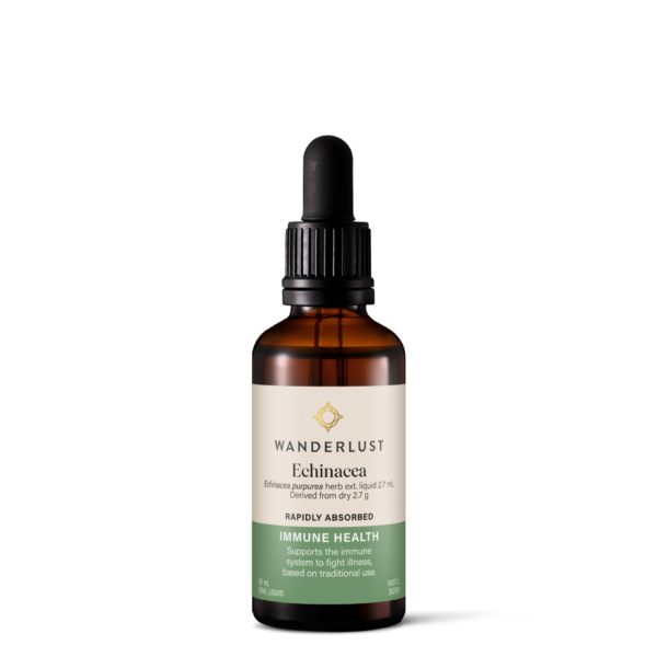 Wanderlust Echinacea