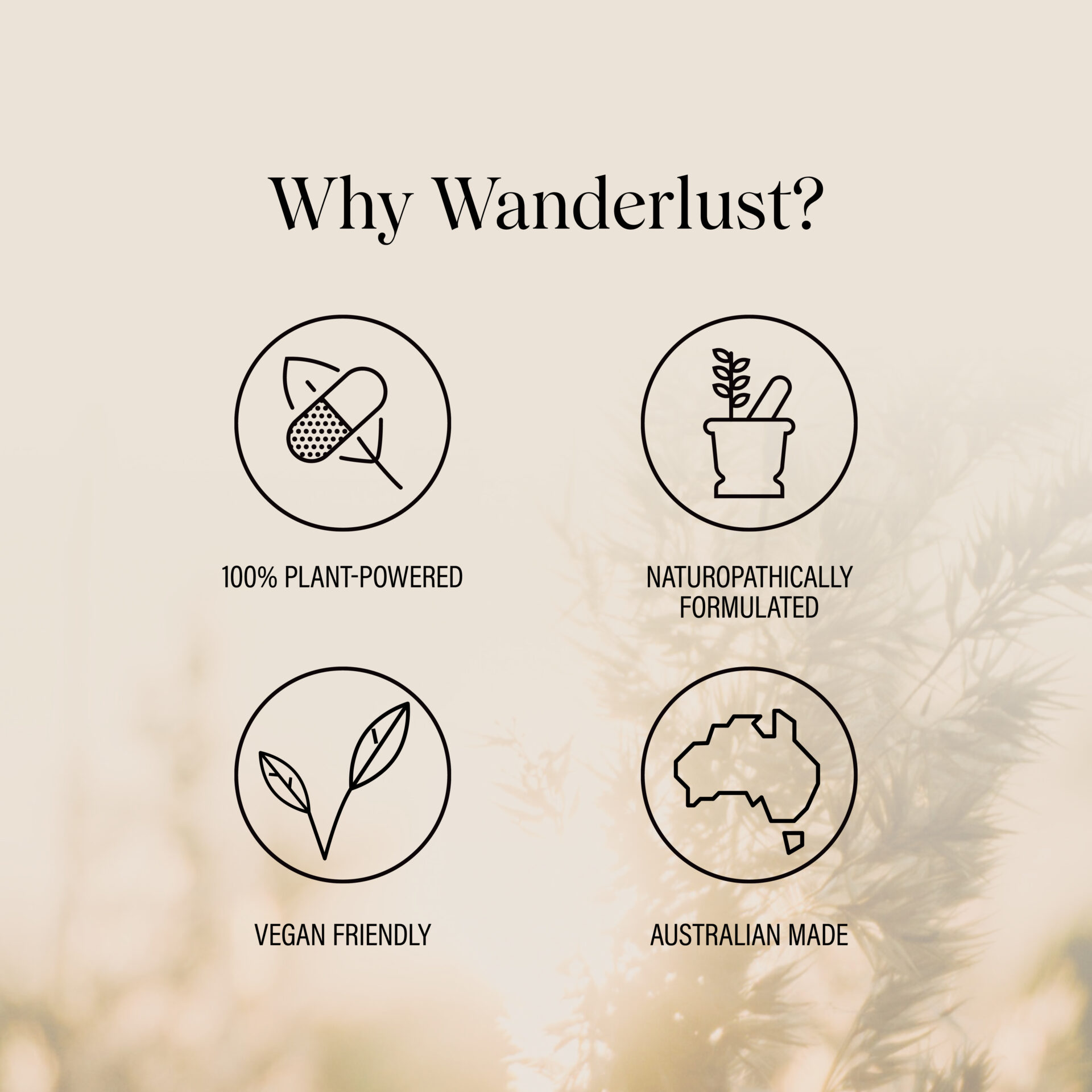 Wanderlust Turmeric - Image 4