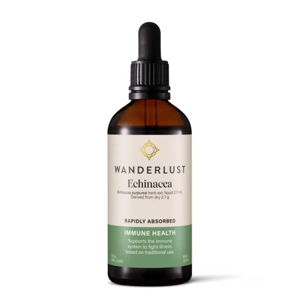 Wanderlust Echinacea